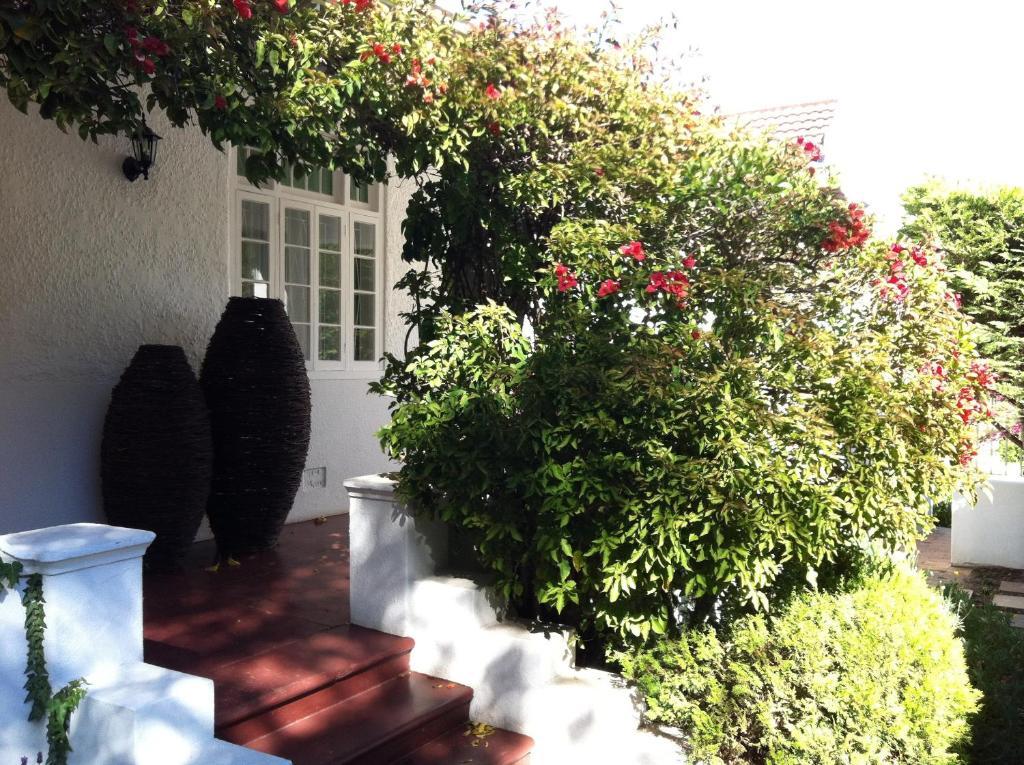5 Camp Street Guesthouse & Self-Catering Cape Town Bilik gambar